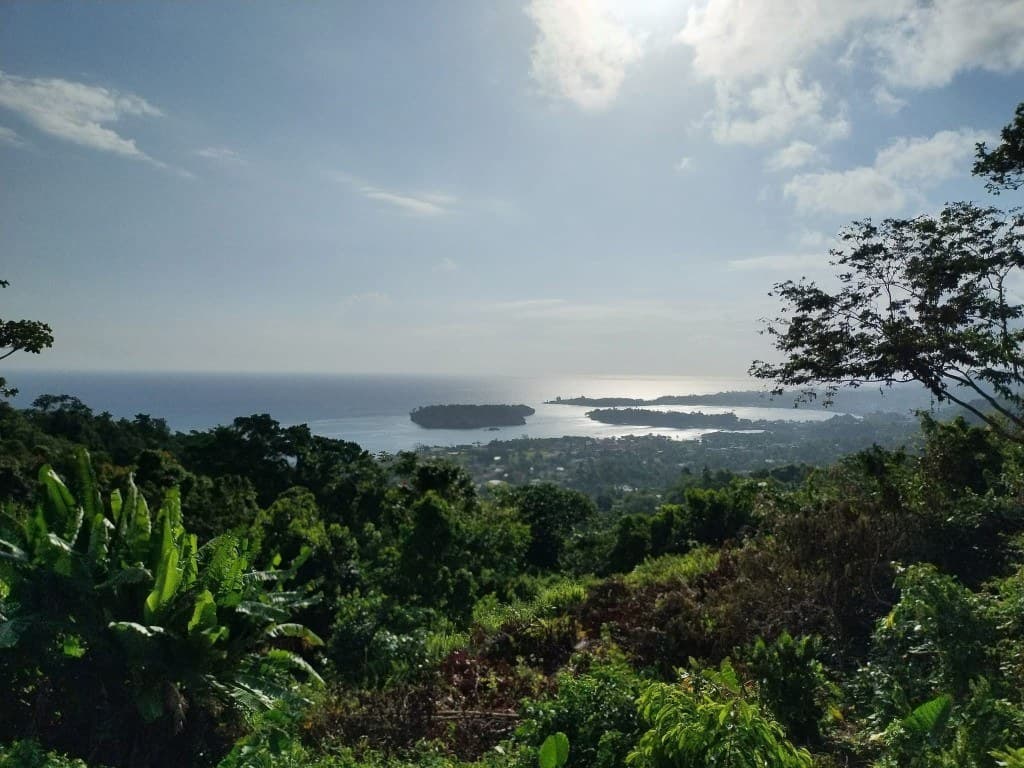 Port Antonio, Jamaica — bay view above the town locals recognize